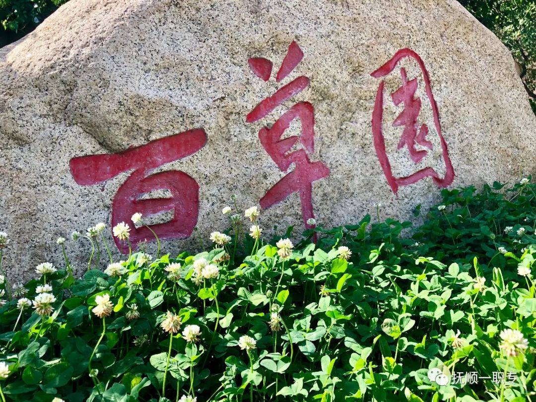 抚顺一职专2022年退役士兵技能培训招生简章